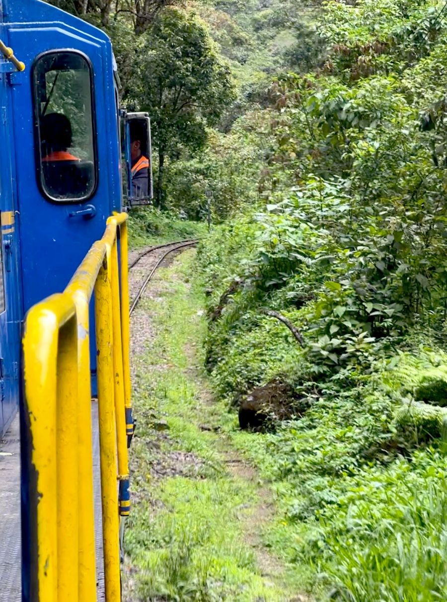 Bahnfahrt nach Machu Picchu