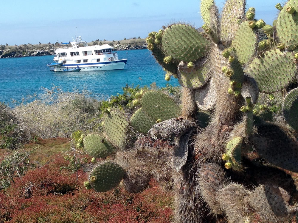 Feedback Galapagos Reise auf der Angekoto I