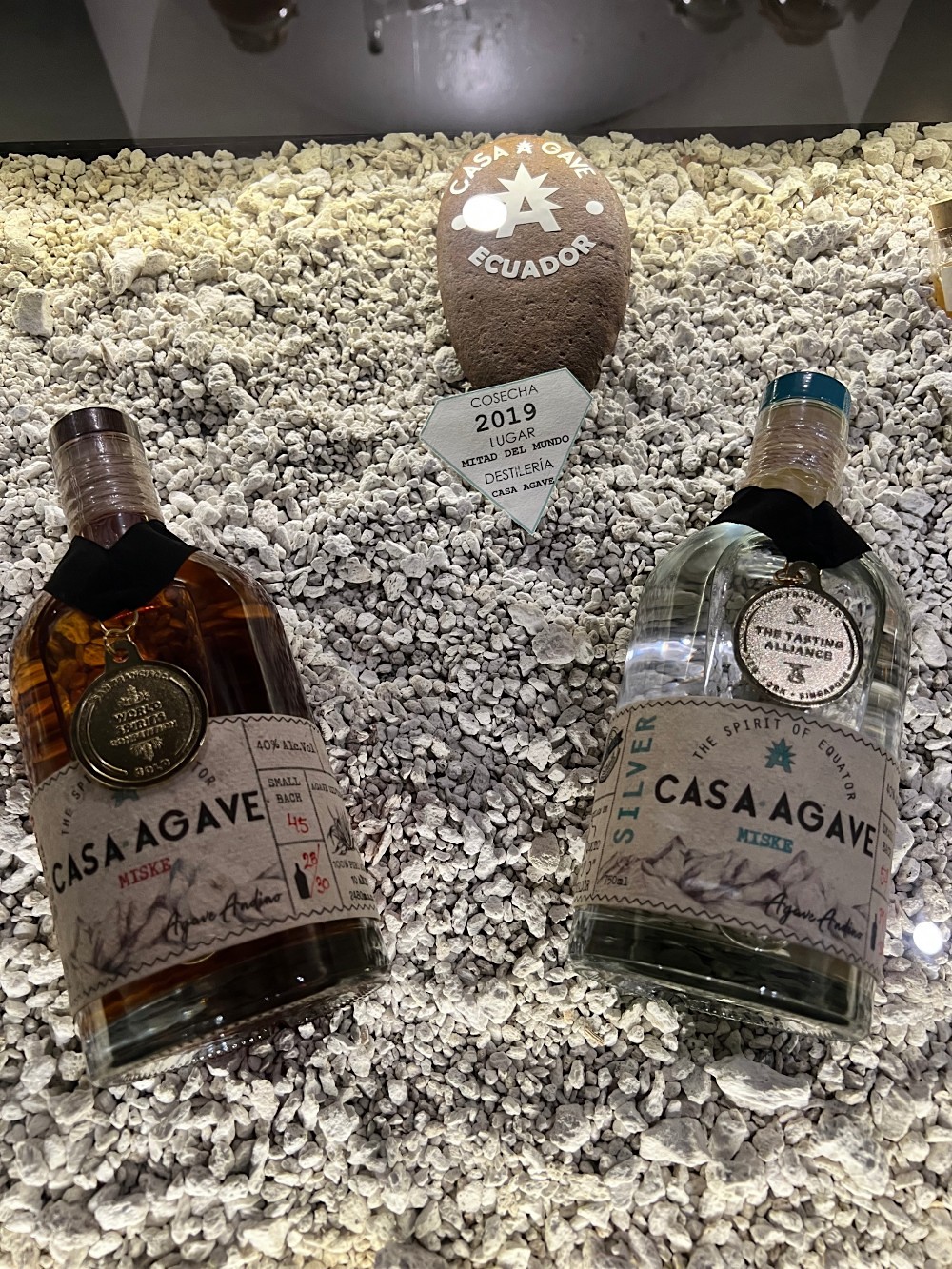 Casa Agave