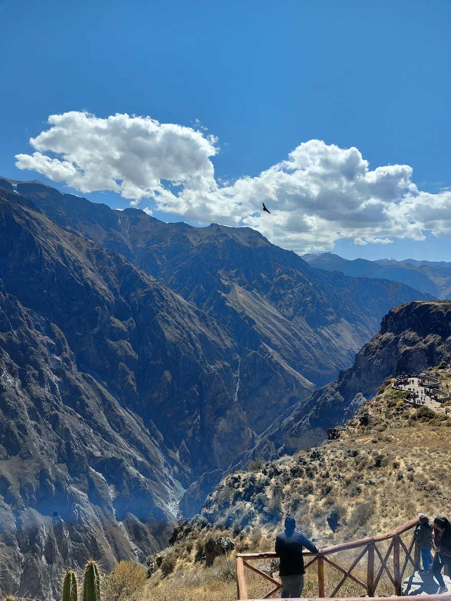 Peru Reisen 2021 - Feedback Colca Canyon