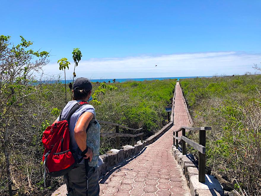 Galapagos Reisen nach Corona - Wanderweg nach Tortugabay