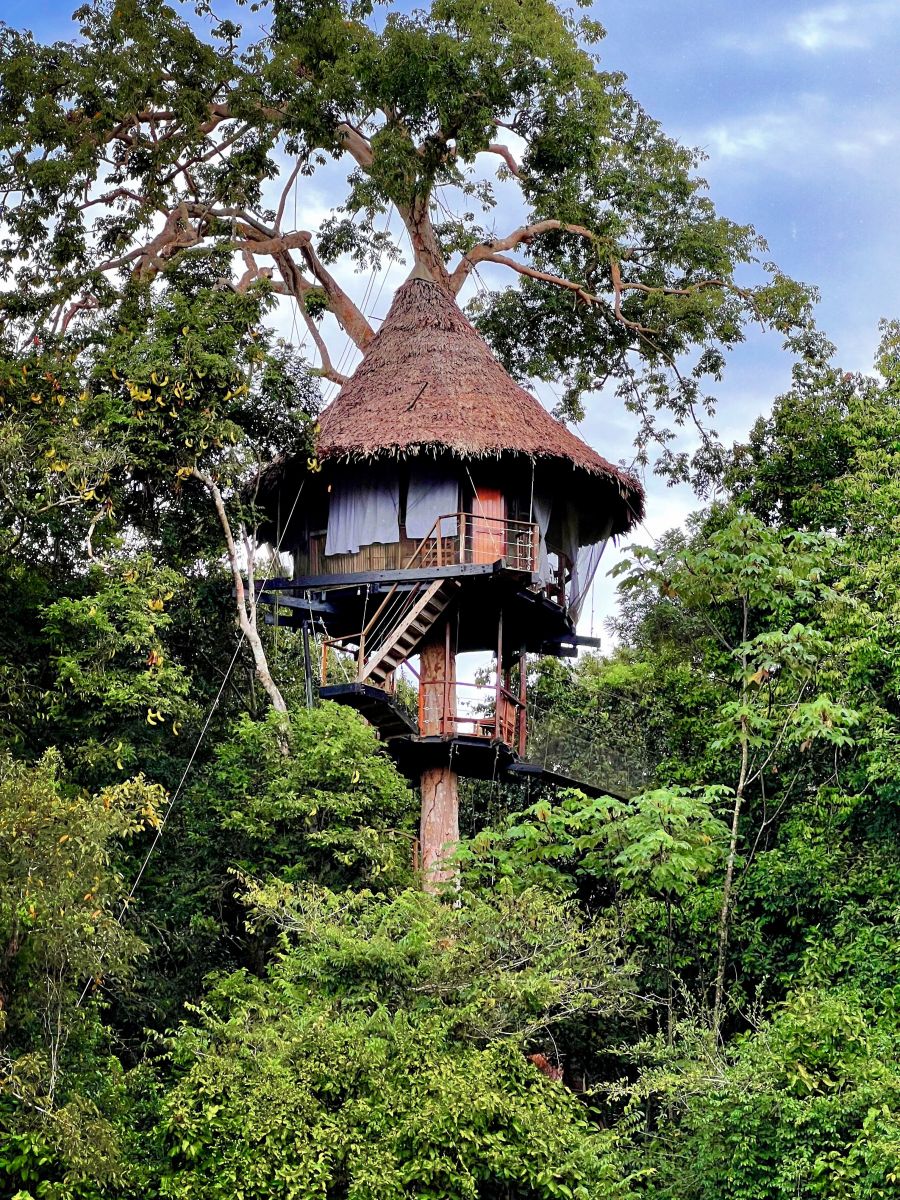 Treeehouse Lodge Iquitos Peru - Peru Reisen