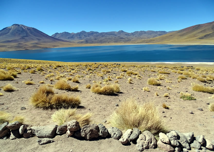 Ausflüge Lagunen San Pedro de Atacama
