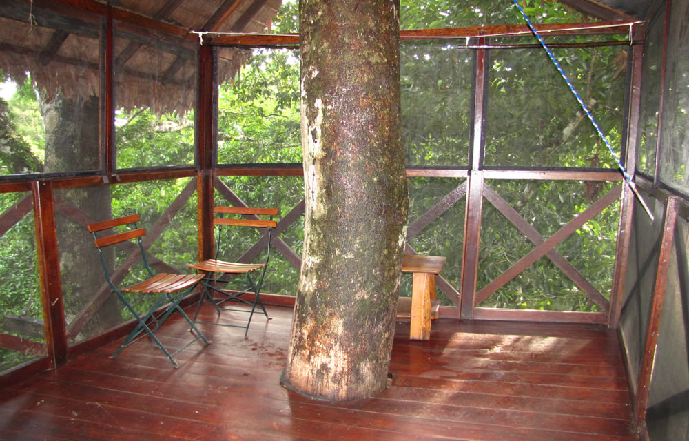 Das Baumhaus der Reserva Amazonica kann gemietet werden